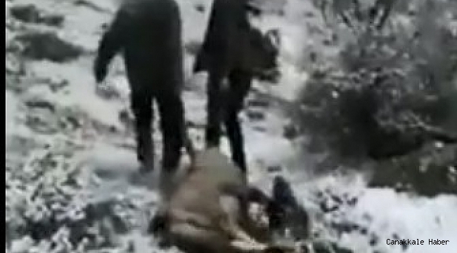 Dağ keçisi avlayan avcılar sosyal medyanın gündeminde
