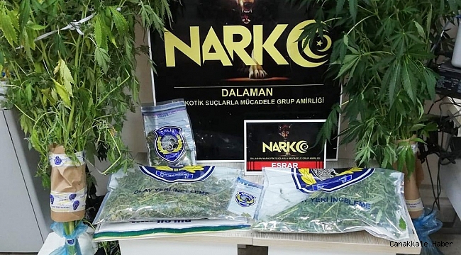 Dalaman&#039;da esrar operasyonu