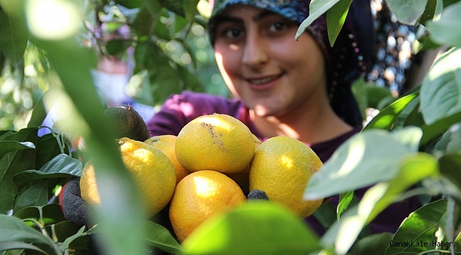 Dalında 1,5 markette 8 lira