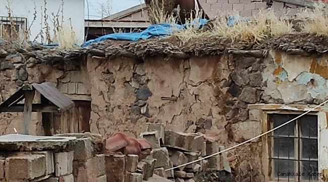 Dama çıkan inek vinçle indirildi