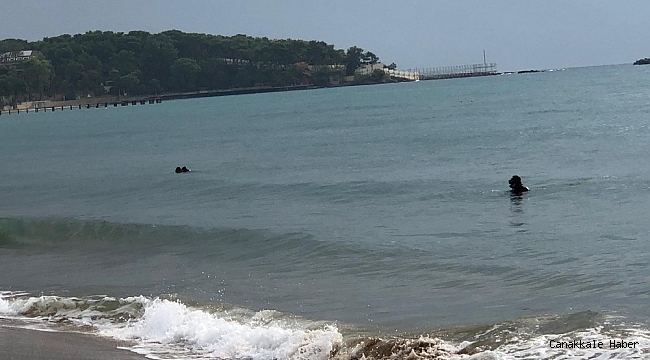 Define avcıları sualtına dalış yaparak, turistlerin düşürdüğü altınları arıyor