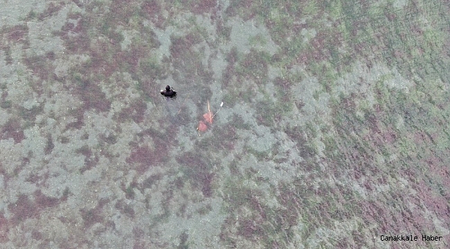 Denize ve sazlıkların arasına kaçan midyecileri polis tek tek topladı