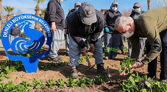 Denizli Büyükşehir vatandaşları için tüm personelleriyle çalışıyor