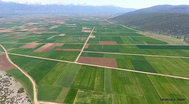 Denizli&#039;de 2020 yılında 6 bin 500 hektar alanın değeri 2 kat arttı