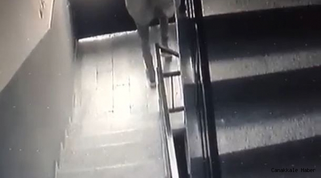 Depodan eşya çalıp çıkarken apartman yöneticisine selam verdi