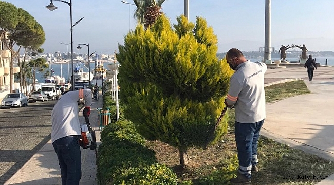 Didim&#039;de yeşil alan çalışmaları sürüyor