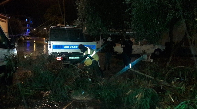 Didim&#039;deki parklarda temizlik çalışmaları devam ediyor