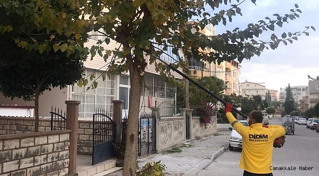 Didim&#039;in çehresi değişiyor