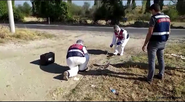 DNA örnekleri bütün foyalarını ortaya çıkardı