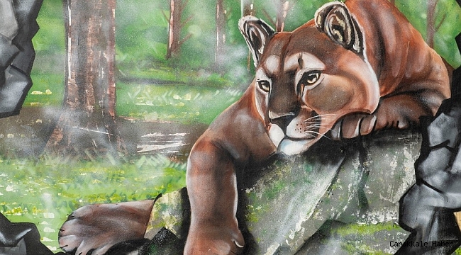 Doğal Yaşam Parkının duvarlarına renk geldi