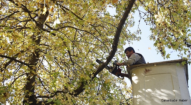 Döşemealtı&#039;na kış bakımı