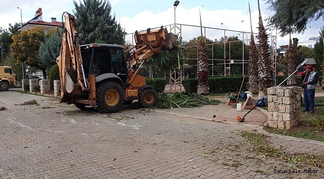 Döşemealtı&#039;nda parklara kış bakımı