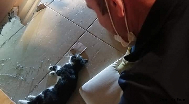 Duvar arasına sıkışan kedi kurtarıldı