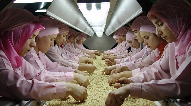 Düzce&#039;den Avrupa&#039;ya bin 63 ton iç fındık ihraç edildi