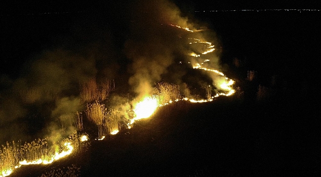 Eber Gölü&#039;nün suların çekildiği arazide yangın çıktı