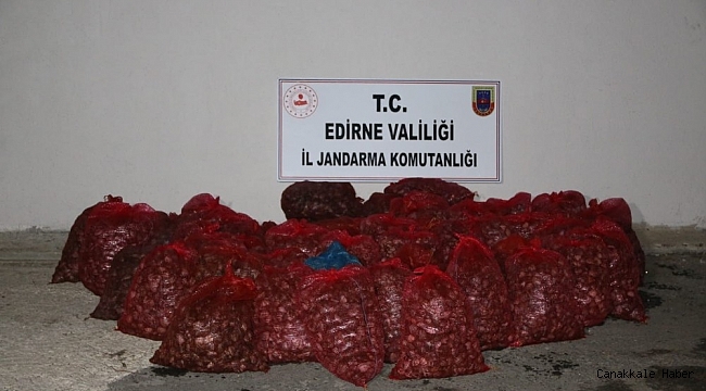 Edirne'de 1 ton kaçak kum midyesine 100 bin TL ceza kesildi