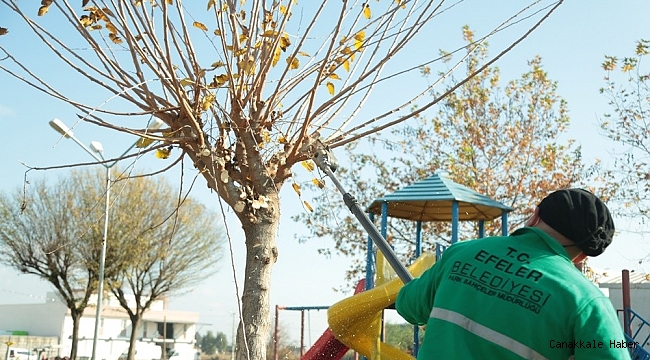 Efeler Belediyesi Tepecik&#039;e el attı