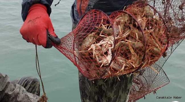Eğirdir Gölü&#039;nde 730 adet kerevit pinterine el konuldu