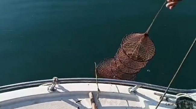 Eğirdir Gölü&#039;nde kaçak avcıların &#039;ağ kozası&#039; oyunu