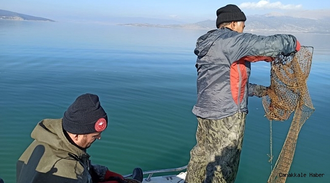 Eğirdir'de kaçak avlanılan 200 kilogram kerevit göle iade edildi