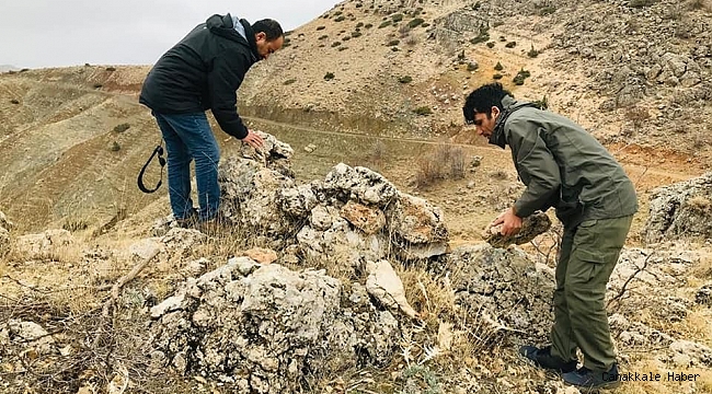 Ekipler, avcıların tuzaklarını bozuyor
