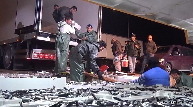 Ekosistemdeki değişiklikler balık türlerini de etkiledi