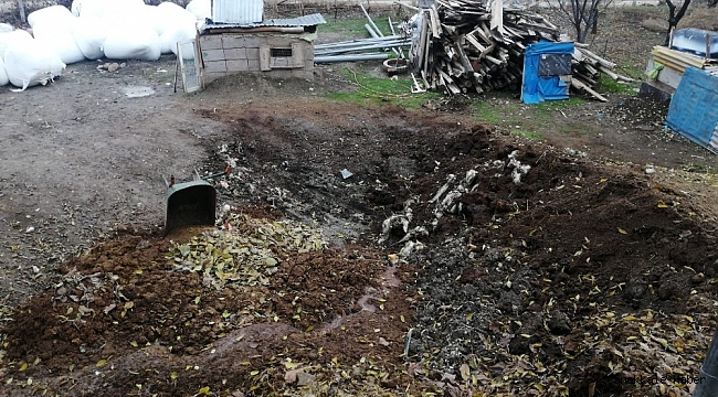 Elazığ&#039;da kurt, 2 koyunu telef etti