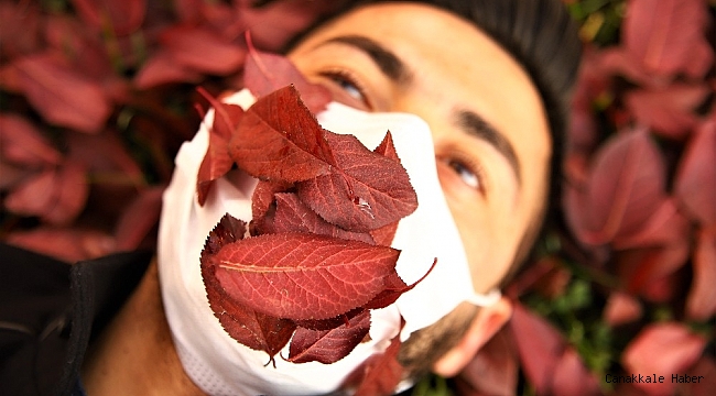 Elazığ'da sonbaharın son demleri görsel şölen oluşturuyor