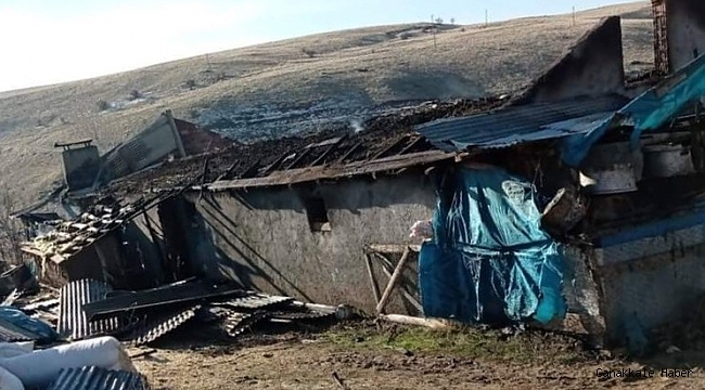 Elektrik kontağından çıkan yangın, 12 hayvanı telef etti