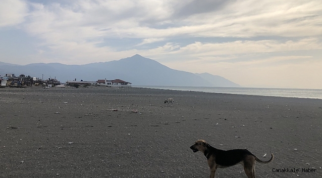 En uzun sahil sokağa çıkma yasağında sessizliğe büründü