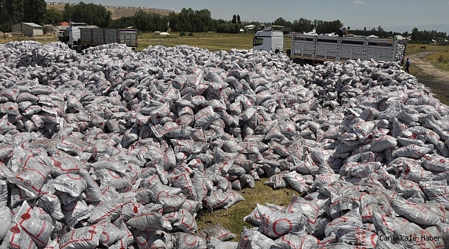 Erciş&#039;te 24 bin aileye 32 bin ton kömür yardımı