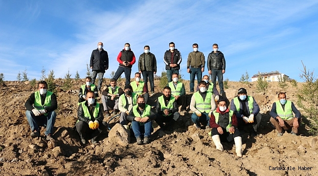 Erciş&#039;te bin 742 adet fidan dikildi