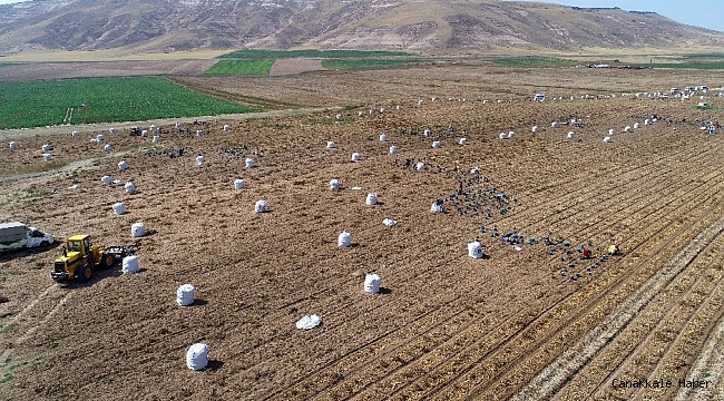 Erzincan havzasında 2021 yılında desteklenecek ürünler belli oldu