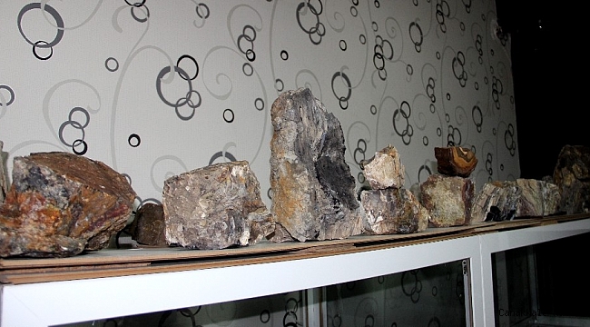 Erzurum&#039;da 160 milyon yıllık taşlaşmış fosil ağaç bulundu