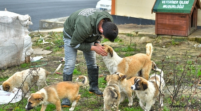Esenyurt Belediyesi hayvan dostlarını unutmuyor