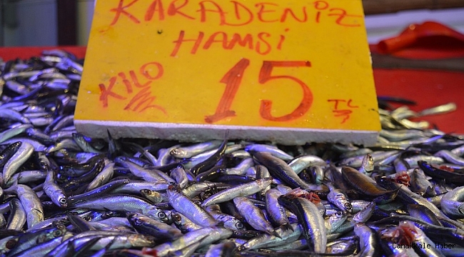 Eskişehir&#039;de hamsi 15 liraya düştü