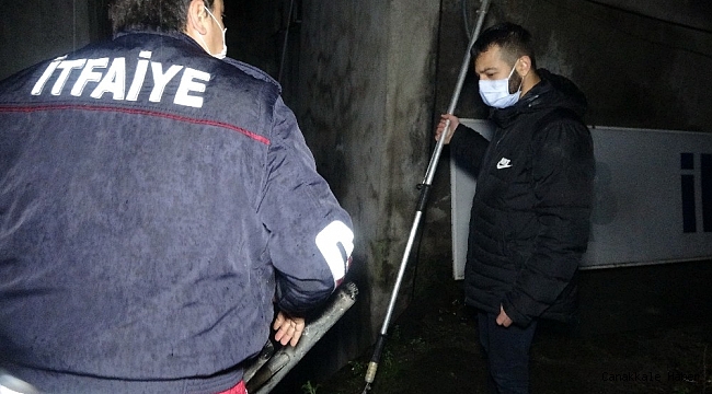 Esnafın dikkati sokak köpeğinin hayatını kurtardı