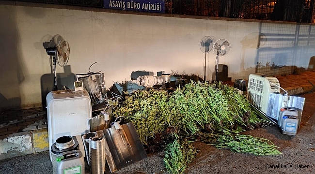 Evin bodrum katını uyuşturucu serasına çevirmiş