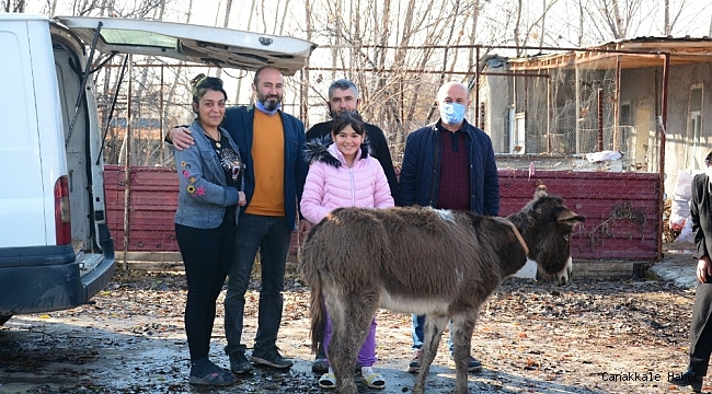 Eziyet edilen eşek, İzmir&#039;e gönderildi