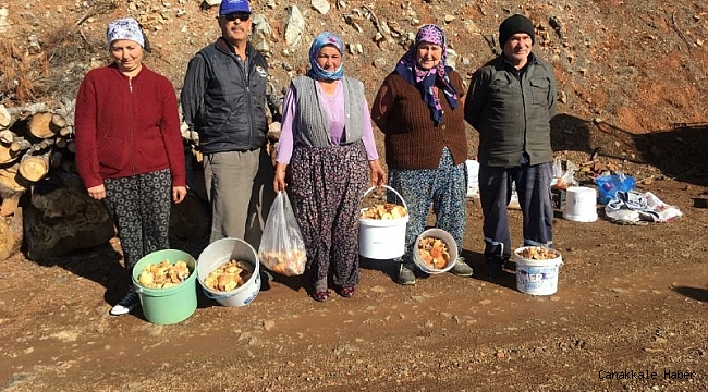 Fakirin eti çıntar için ormana akım başladı
