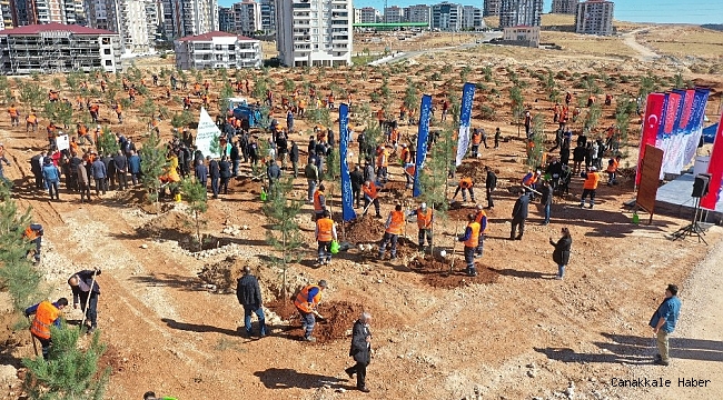 Gaziantep kent merkezinde 3 bin 83 büyük ağaç toprakla buluştu