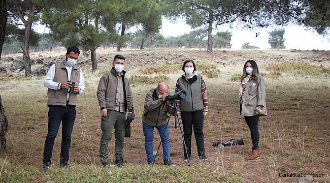Gaziantep ormanlarındaki kızıl geyik sayısı araştırılıyor