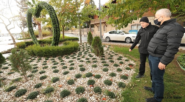 Gebze&#039;de binlerce ağaç dikildi