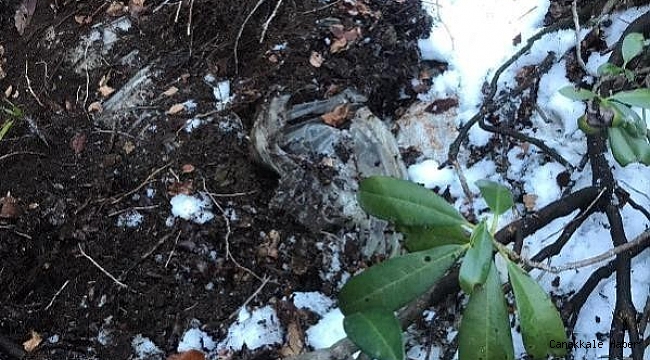 Giresun&#039;da bölücü terör örgütüne ait erzak deposu bulundu