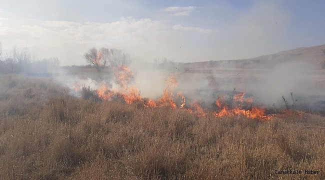 Gürpınar&#039;da kuruyan otlar alev alev yandı