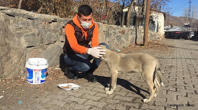 Hafta sonu kısıtlamasında sokak hayvanlarını besledi