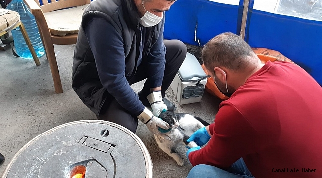 Hakkari&#039;de can dostlar için zamana karşı yarış