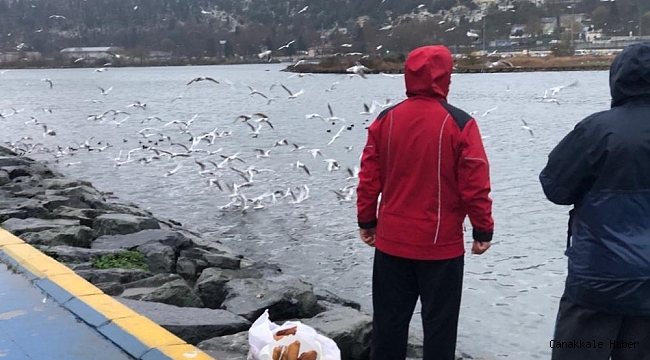 Haliç&#039;te martı ve kazların yemek yeme sırası görenleri mest ediyor