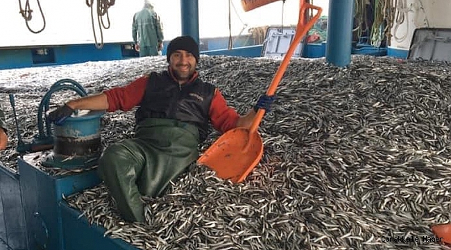 Hamsi bereketi balıkçının yüzünü güldürdü