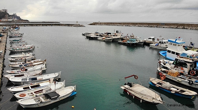 Hamside tehlikeye dikkat çekip böyle uyardı; &quot;Karadeniz nadasa bırakılmalı&quot;